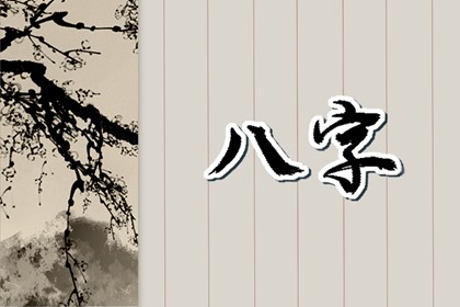 丙子日出生的人辛丑年运势(丁卯兔年壬寅月戊申日八字)插图