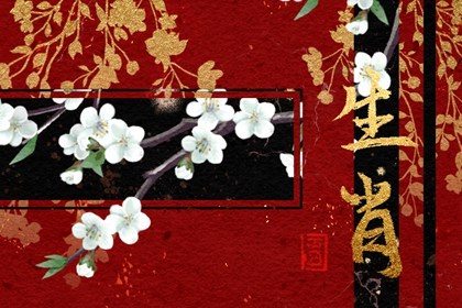 生肖兔的事业贵人属相(兔的贵人是什么生肖年属什么生肖)插图