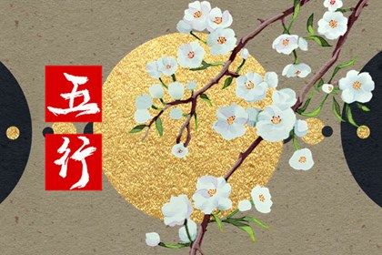 后年五行属什么2023(2023年五行属性是属什么的)插图