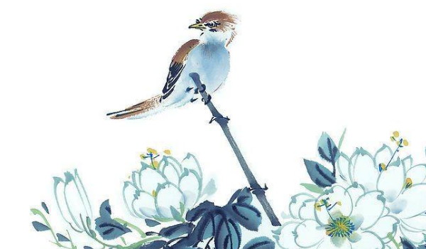 丁酉日癸卯时不是日贵(癸卯日的贵人是什么)插图