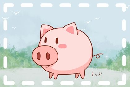 腊月的猪是什么命运(属猪的女人腊月出生好不好)插图