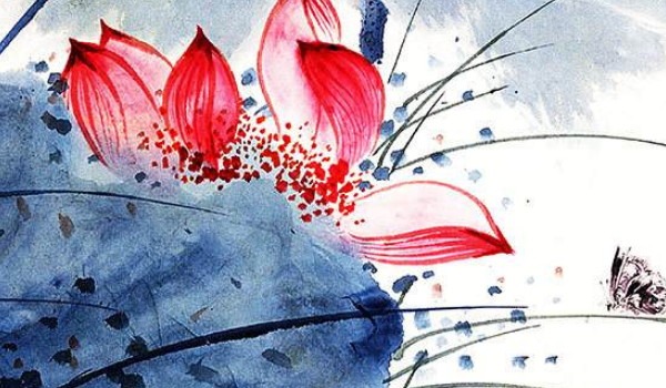 客厅明财位可以摆放什么 招财的绿色植物吉祥插图