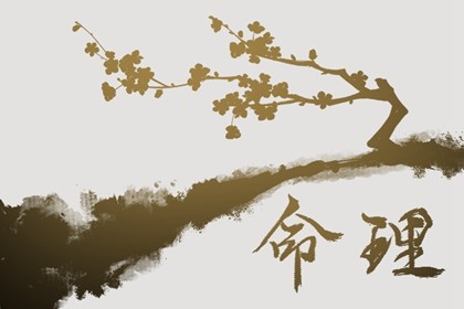 生肖兔今年犯太岁吗(兔年犯太岁的4大生肖)插图