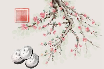 属兔的最佳手机号码数(属兔女人手机号码尾数选择)插图
