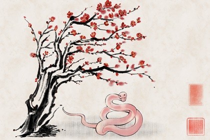 2023年兔年是什么五行(2023年兔年犯月)插图