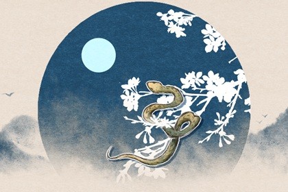 2001年属蛇的幸运号是什么(2001年属蛇人的吉利数字)插图