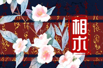 一只单眼皮一只双眼皮叫丹凤眼吗(一只眼睛单眼皮一只眼睛双眼皮是丹凤眼吗)插图