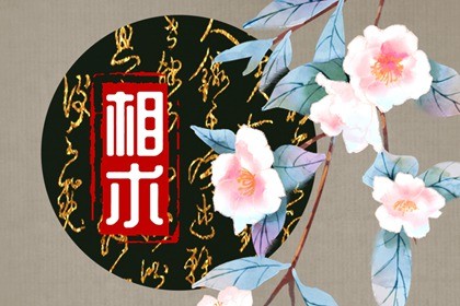 女人薄嘴唇 尖下巴 刻薄(女人薄嘴唇面相分析)插图