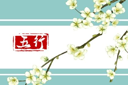 2023年木命的人适合买什么颜色的车(木命的人开什么颜色的车财运好)插图