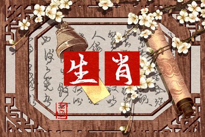 2020年1月出生的宝宝属什么生肖(2020年1月23出生的宝宝属什么)插图