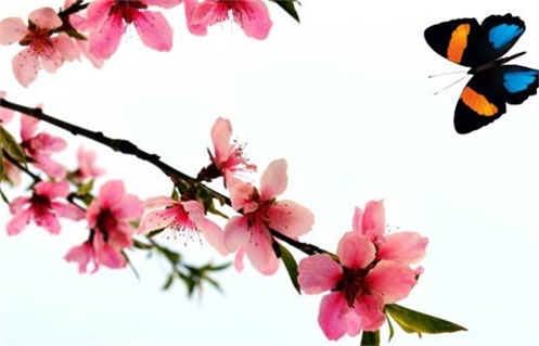 2023年2月17日适合开工吗(2023年2月17日日子好不好)插图