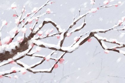 冬至怎么祭拜祖先(冬至祭拜祖先在什么时候)插图
