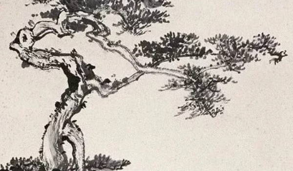 劫财男什么意思(为什么男怕劫财)插图
