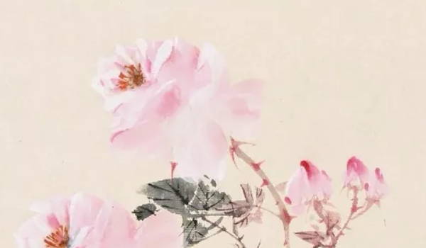 什么是白蜡金命(白蜡金命的人命运好不好?)插图