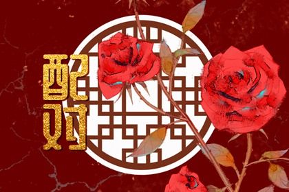 75男兔和81女鸡婚姻相配好吗(75年女兔和81年男鸡相配婚姻如何)插图