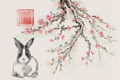 属兔应该用什么数字车牌(属兔的吉利数字是什么)插图