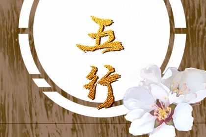2023年出生的人五行属什么命(2023年出生的孩子五行属什么命)插图