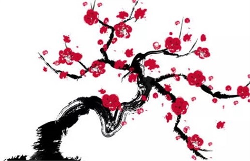 2023年属什么生肖哪月好(2023年属什么生肖几月出生好)插图
