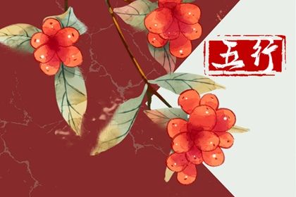 2023年出生五行属什么命(2023年出生的人五行属什么命)插图