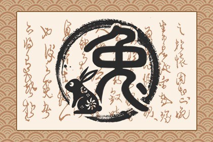 黑兔年属兔的人要注意什么(属兔的遇到黑兔年怎么办)插图