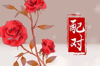 天蝎座适合跟哪个星座结婚(天蝎座最适合和哪个星座结婚)插图