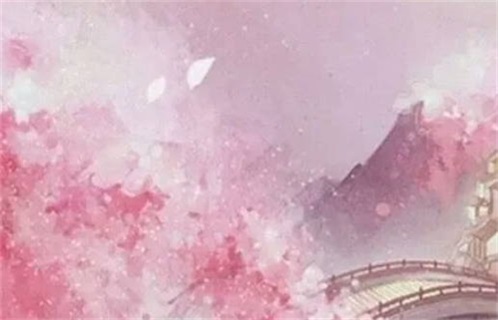 灰兔配白兔为什么会生出黑兔(黑兔年是什么意思)插图