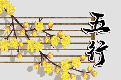 五行什么兔最好(五行兔的人命运有什么不同)插图