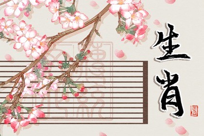 属羊的适合生2023年的兔宝宝(属兔2022年运势及运程_2022年属羊人的全年运势)插图