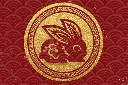 2023年的兔好不好(2023年是黑兔年命运好吗)插图