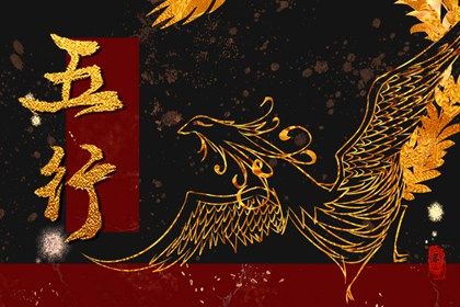 2023年1月1日出生的宝宝五行属什么(2023年1月1日出生的宝宝八字命理)插图