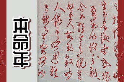 属兔人的本命年是哪几年(属兔的本命年)插图