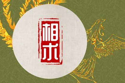 额头宽的男人面相分析(额头宽的男人命运怎么样)插图