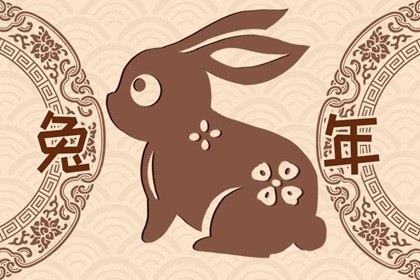 黑兔年是哪一年(兔子黑的好还是白的好)插图