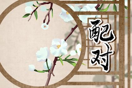 2023年属猪和属兔的结婚吉日(2023年属兔和属猪的感情分析)插图