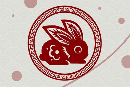 88年属龙人明年兔年运势如何(2023年黑兔年对属龙人的影响)插图