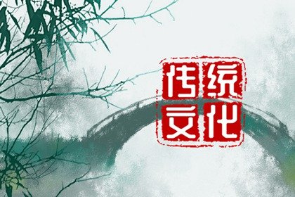 梦到蜘蛛是什么意思追我(梦到蜘蛛是什么意思学生)插图
