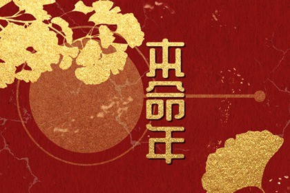 2023年本命年运势(2023年有哪些八字财运好)插图