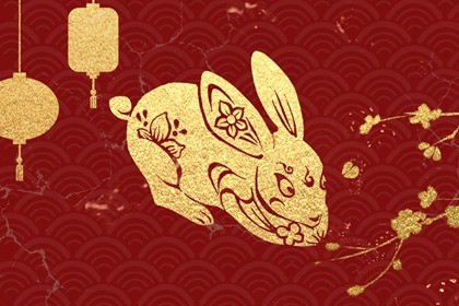 纯黑兔子有什么讲究(兔忌讳什么颜色)插图