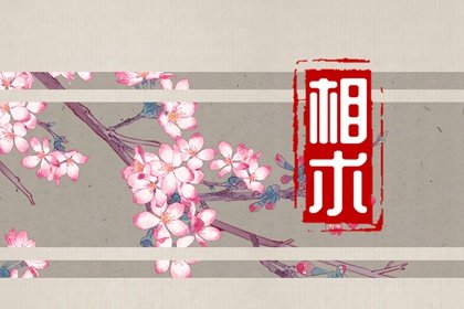 发际线高的女人聪明吗(女人发际线高好不好 女人发际线高的命理)插图