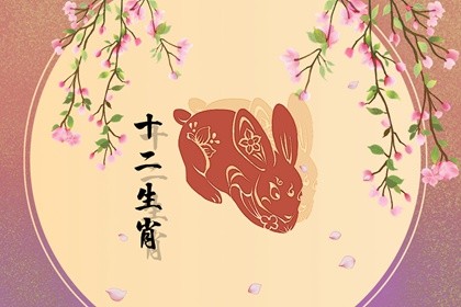 2023年生肖兔犯太岁怎么化解(属兔2023年犯太岁怎么化解)插图