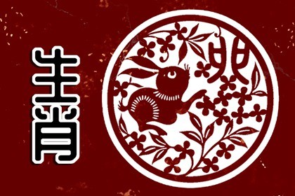 属兔的人选择什么数字的电话号码好(属兔的用什么手机号码运气最好)插图