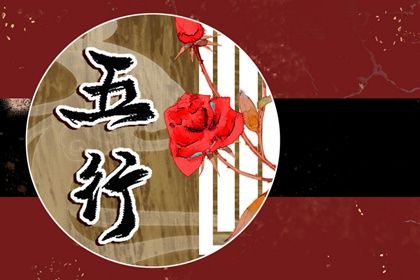 2023年五行属什么 是什么命(2023年出生是什么命五行属什么)插图