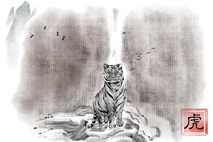 兔和虎事业怎么样(兔年属虎的运势怎么样)插图