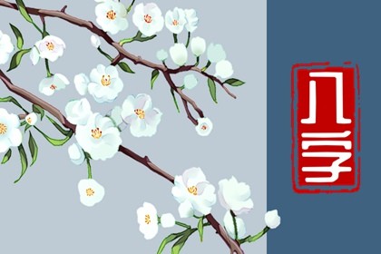 2023年黑兔年适合生孩子吗(2023年兔年出生的宝宝好不好)插图
