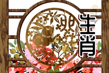 属兔人手机号尾号 多少吉利(属兔的手机尾号最好是)插图