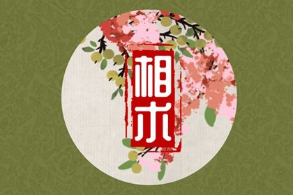 男人极少见的富贵痣(命中有贵子的痣图解)插图