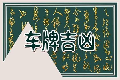 100分的车牌号码大全三位数(100分的车牌号码大全油电混合)插图