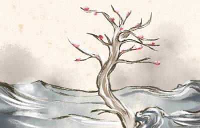 今年春节为什么可以放烟花(2020年春节能放烟花吗)插图