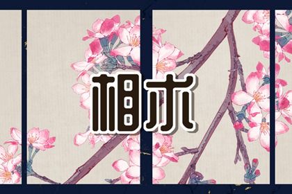 性格消极的人面相(人的面相与性格)插图
