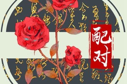 男的属兔女的属猴婚姻合不合(属猴女的和属兔男的婚姻会怎么样)插图